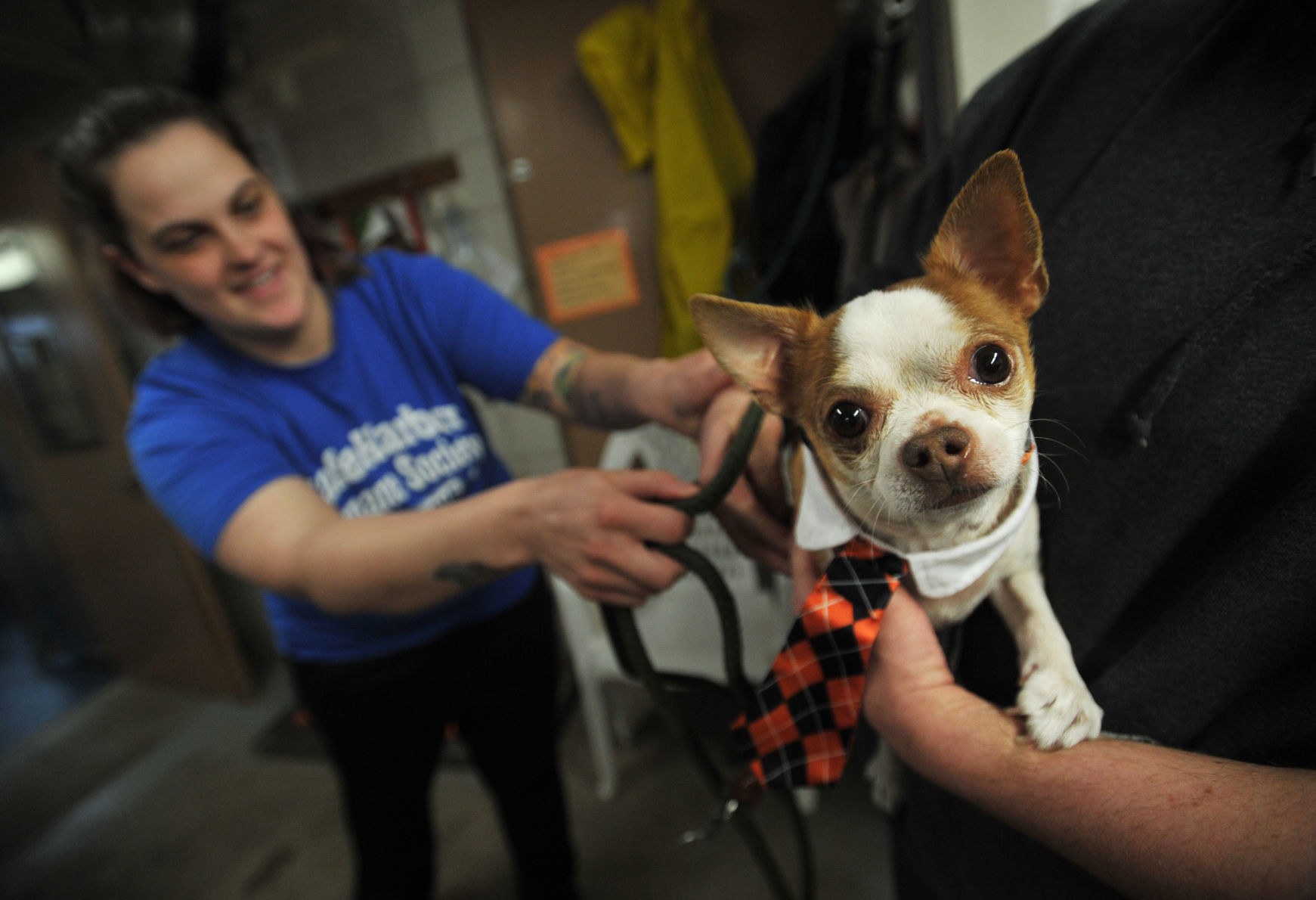 SAFE HARBOR HUMANE SOCIETY